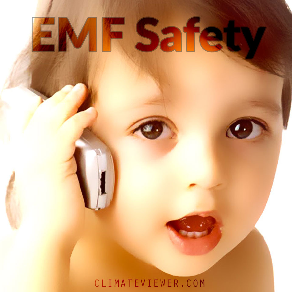Wi-Fried: Wireless, and EMF Safety