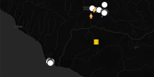 Sochi Olympics (2014)