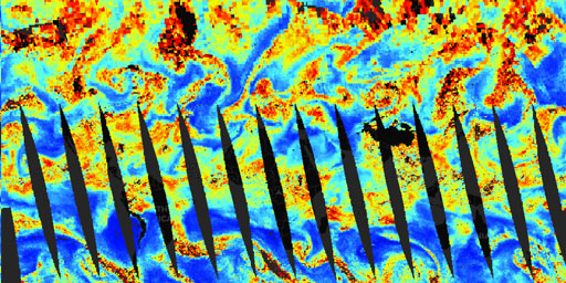 AIRS Aqua - Relative Humidity (700 hPa, Day)