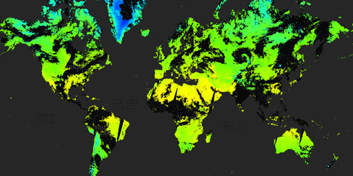 MODIS Aqua - Land Surface Temperature (Night)