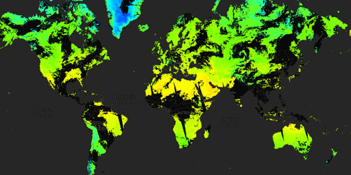 MODIS Terra - Land Surface Temperature (Night)